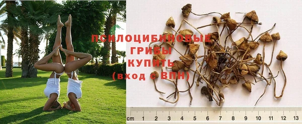 мефедрон мука Верхний Тагил