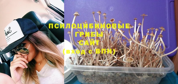 твердый Верея