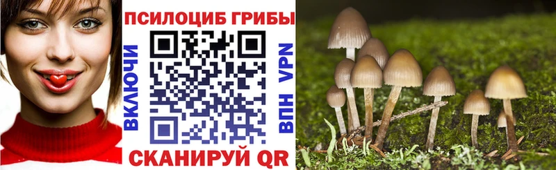 Купить закладки  Высоковск  Псилоцибиновые грибы прущие грибы 