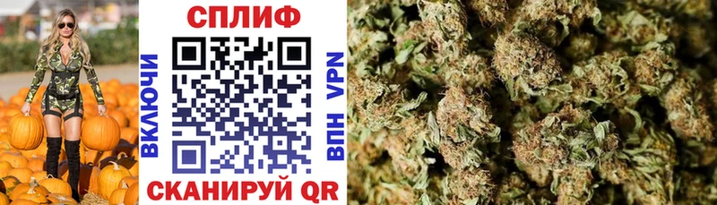 Канабис ГИДРОПОН  Купить  Высоковск 